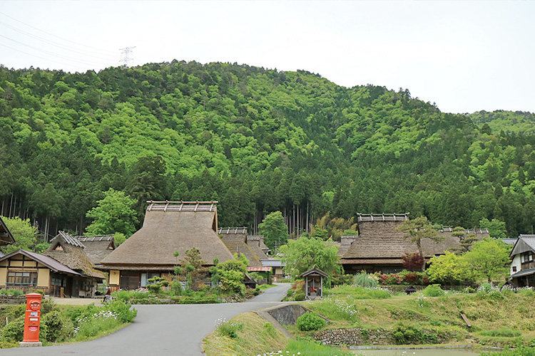 森の京都